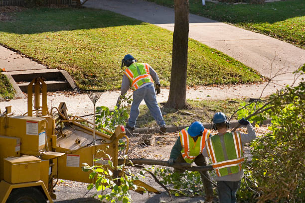 Mulching Services in Fraser, CO
